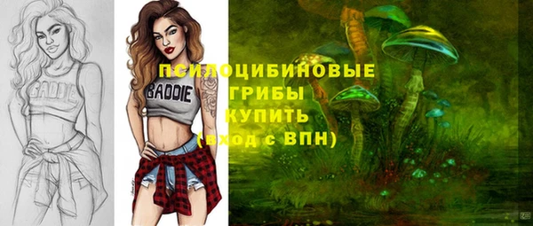 хмурый Алзамай
