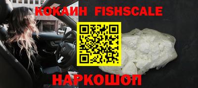гашик Майкоп
