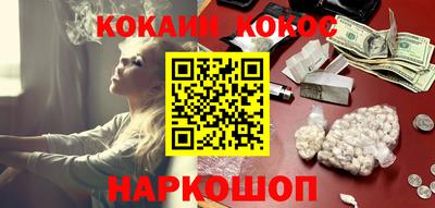 гашик Майкоп