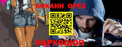гашик Майкоп