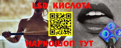 гашик Майкоп