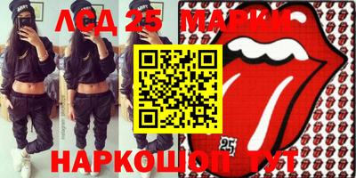 гашик Майкоп
