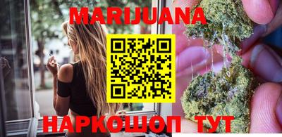 гашик Майкоп