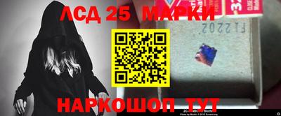 гашик Майкоп