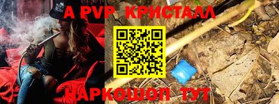 гашик Майкоп