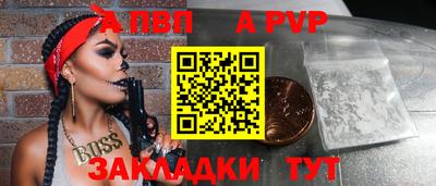 гашик Майкоп
