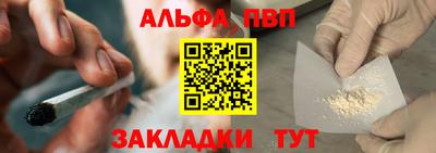 гашик Майкоп